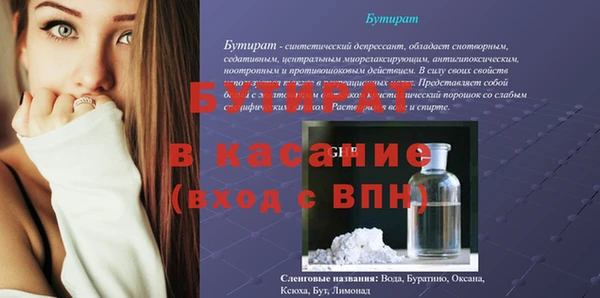 стаф Сосновый Бор