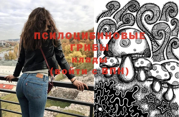 спайс Белокуриха